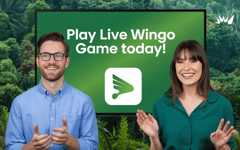 wingo prediction live